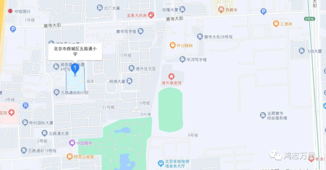 篮球青训营中的体能训练方案有哪些?_0